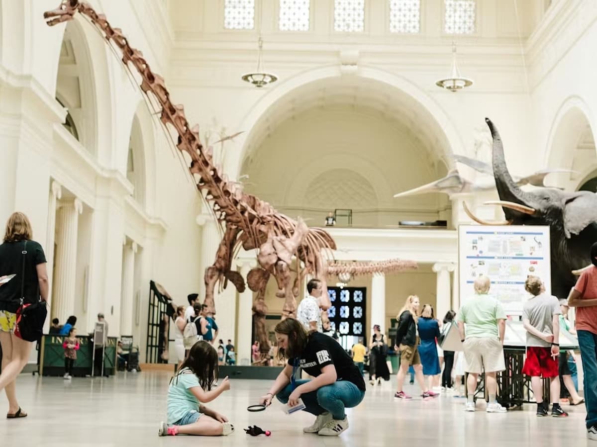 The Field Museum of Natural History Ticket