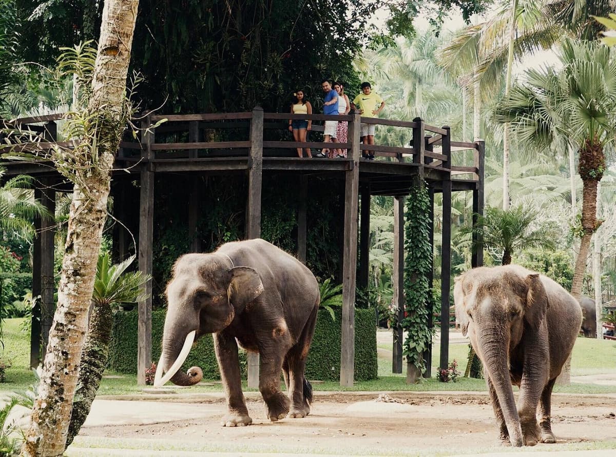 Mason Elephant Park Bali by Mason Adventures (Formerly known as Elephant Safari Park)