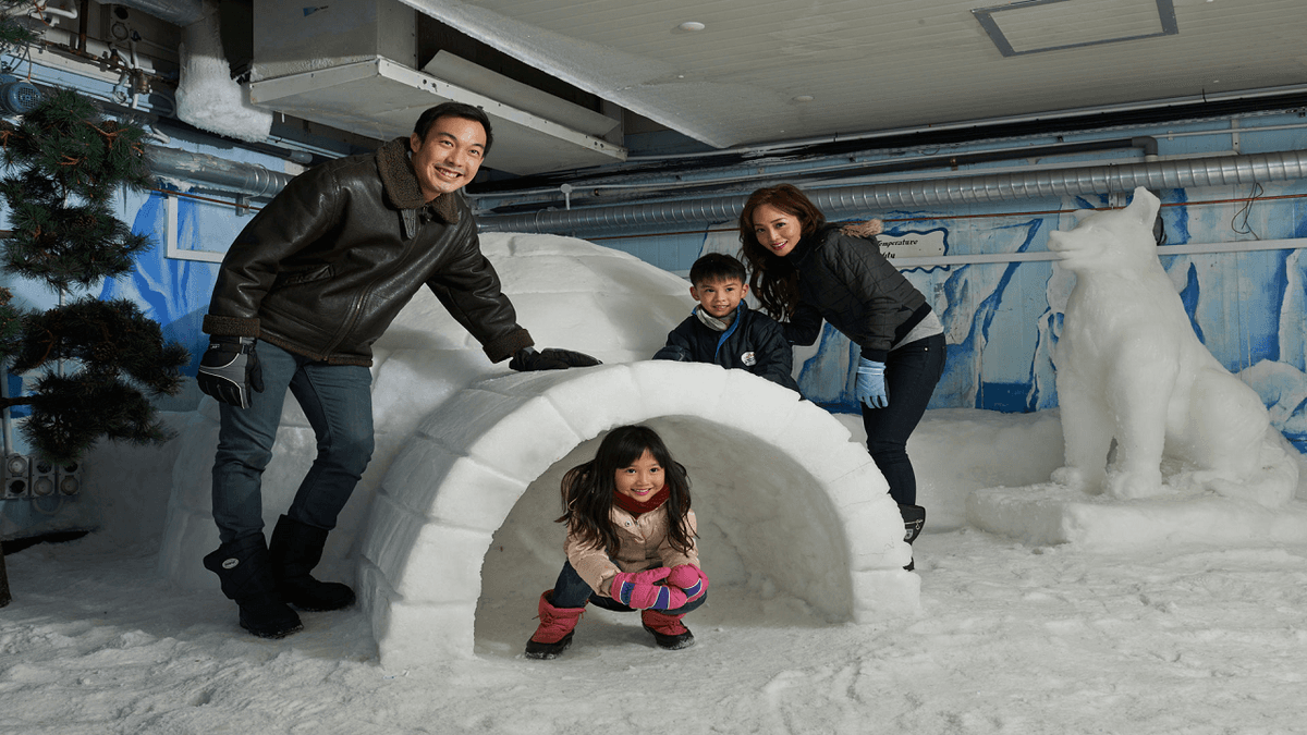 Snow City Singapore Ticket