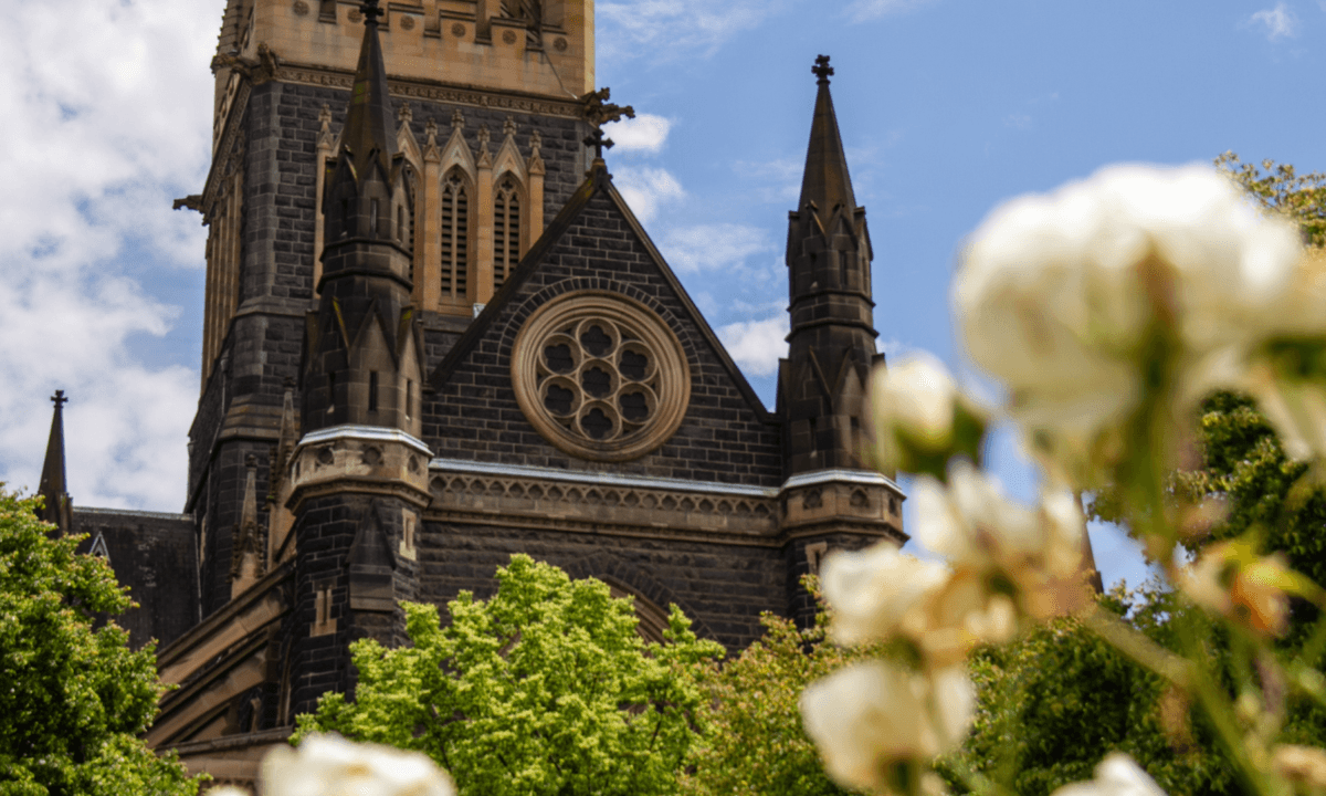 Melbourne City Discovery Tour with Penguin Parade