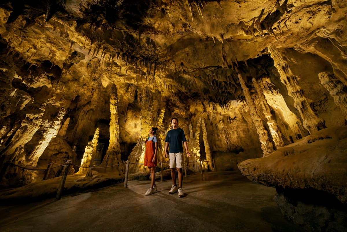 2-Park Destination Pass: Singapore Night Safari + Rainforest Wild Adventure Tickets