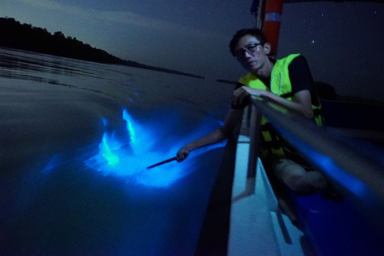 Blue Tears Boat Cruise in Kuala Selangor – photo 3