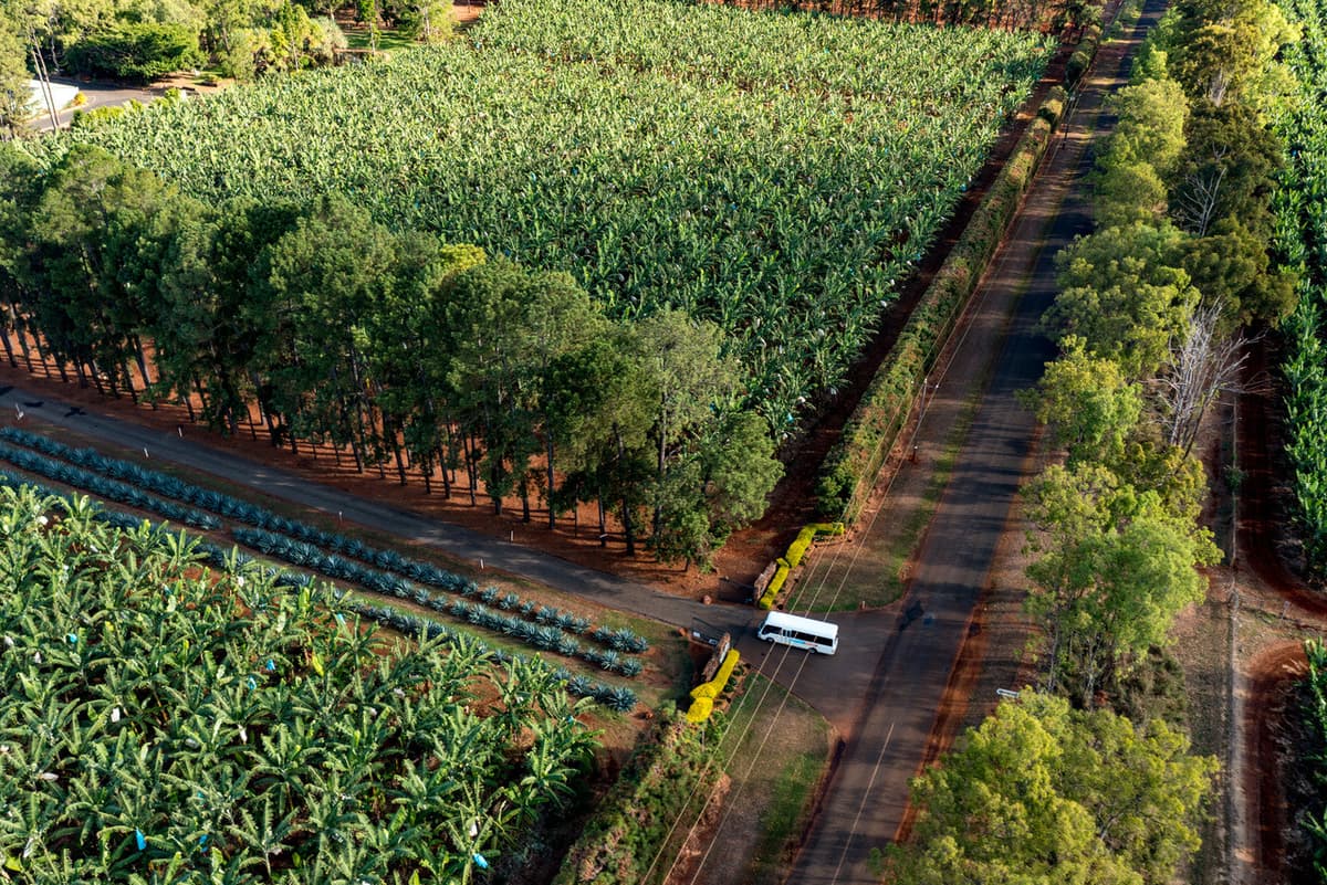 Australian Outback Food and Wine Tasting Tour from Cairns and Northern Beaches