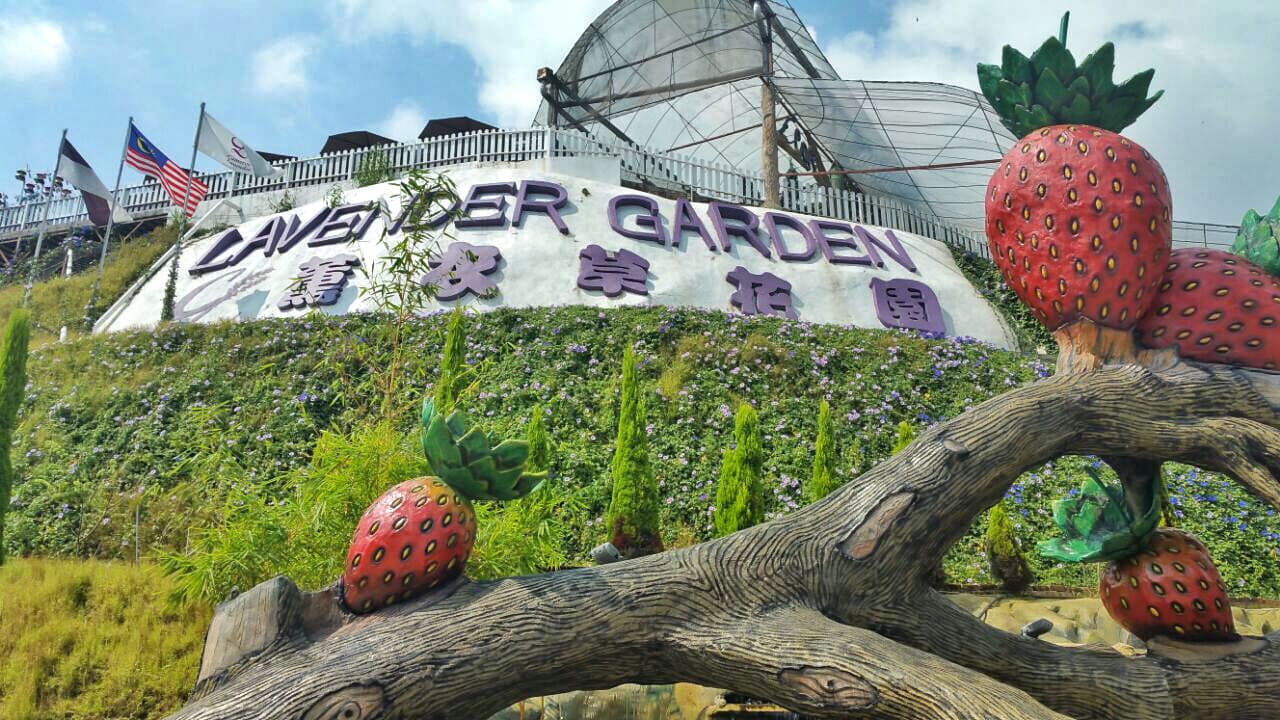Cameron Highlands Tour from Kuala Lumpur – photo 5