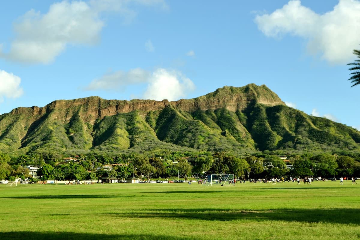 Waikiki Trolley Hop-on Hop-off Bus Tour