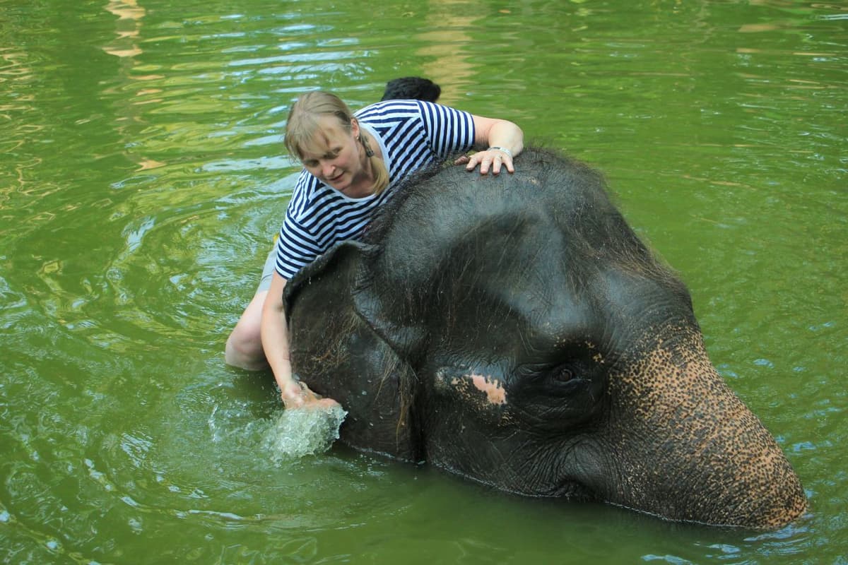 Lombok Wildlife Park Elephant Bath Experience