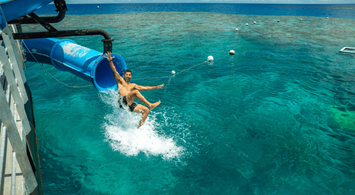 Great Barrier Reef Pontoon Full-Day Tour at Moore Reef