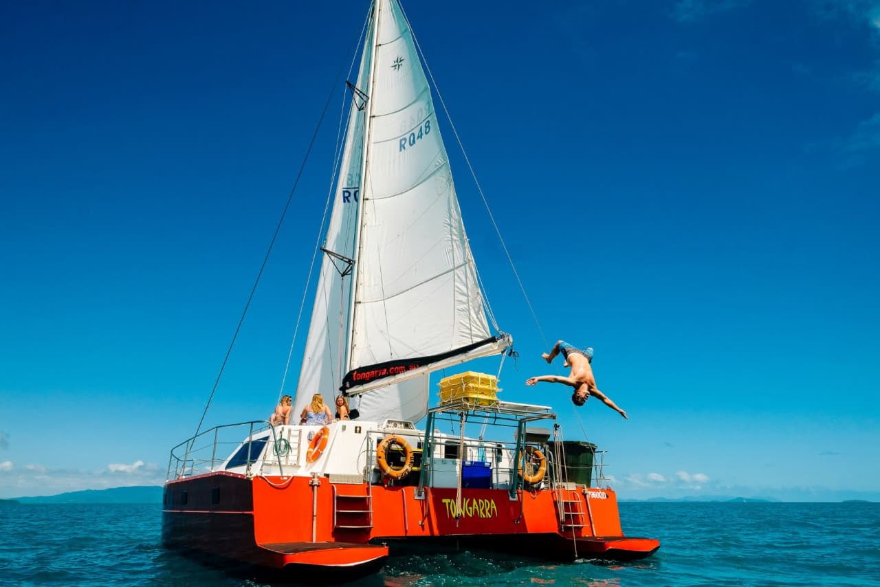 Tongarra Day Sailing Tour – photo 13