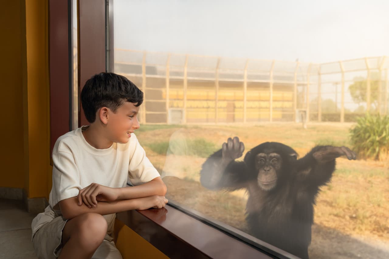 Dubai Safari Park Ticket – photo 16