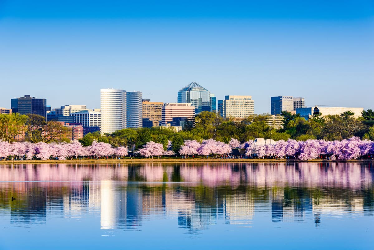Washington DC and Philadelphia Tour from New York