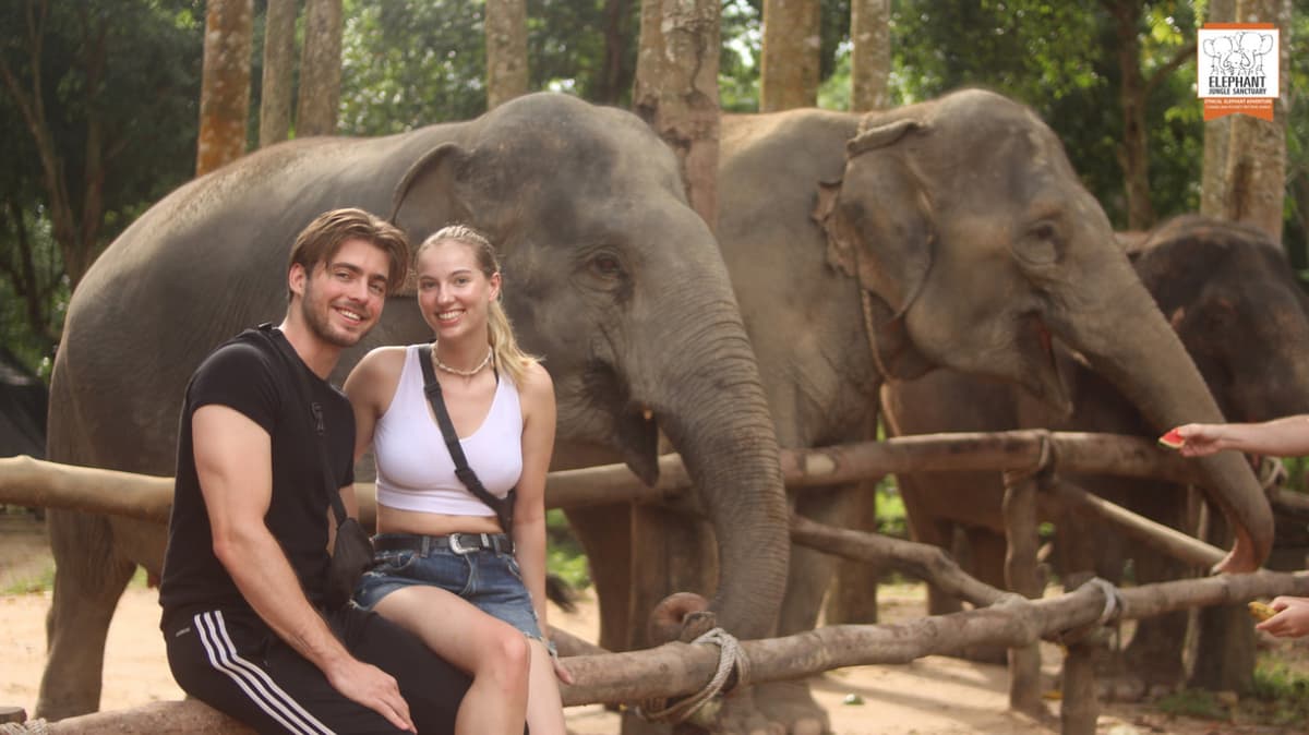 Elephant Jungle Sanctuary Koh Samui