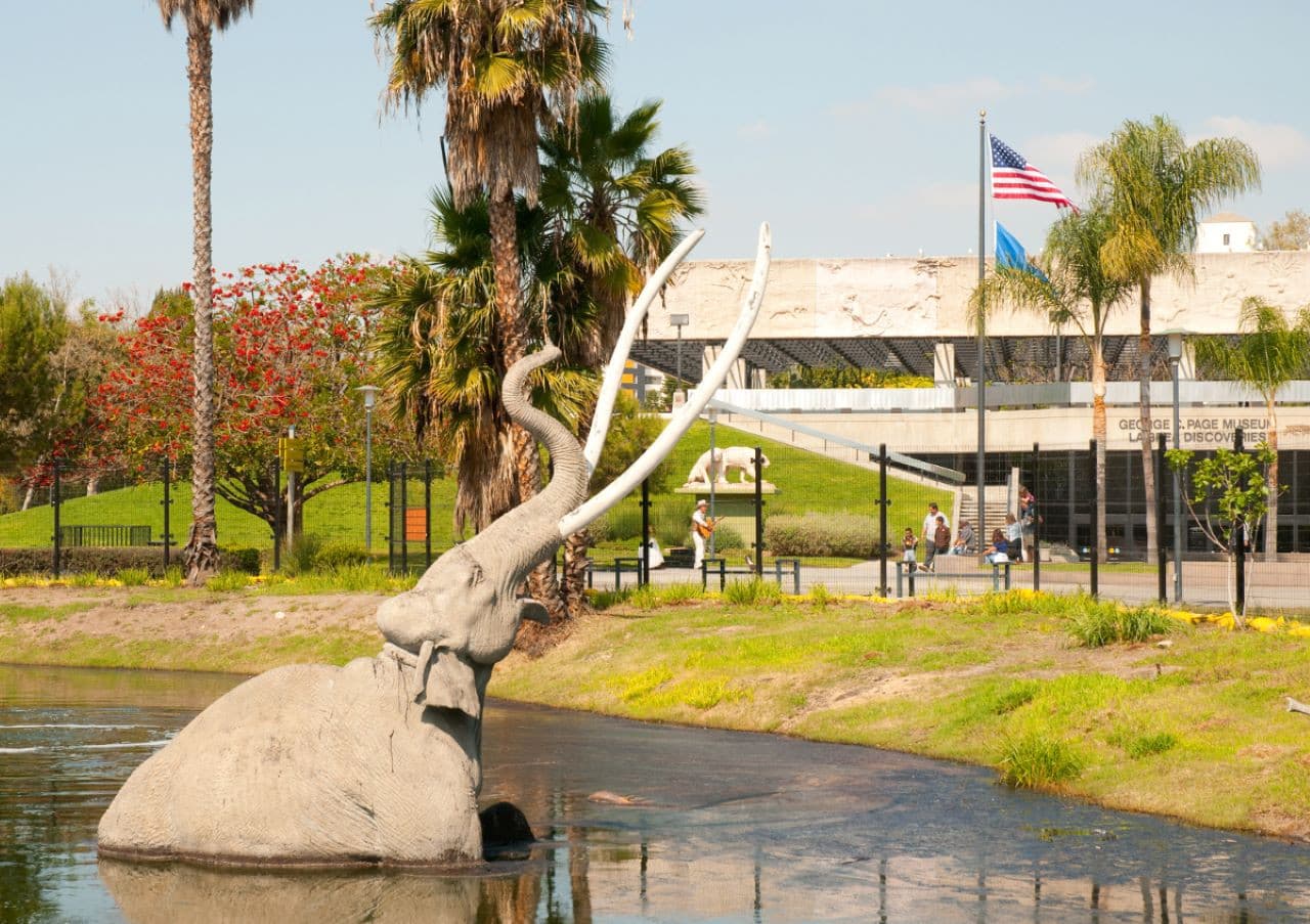 Go City Los Angeles All-Inclusive Pass: Save up to 50% on Attractions – photo 13