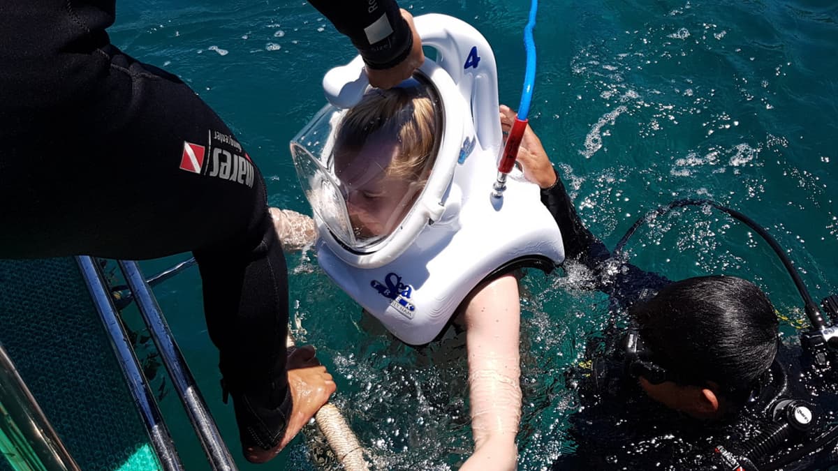 Cham Islands Underwater Walking and Snorkelling Half-Day Tour from Da Nang