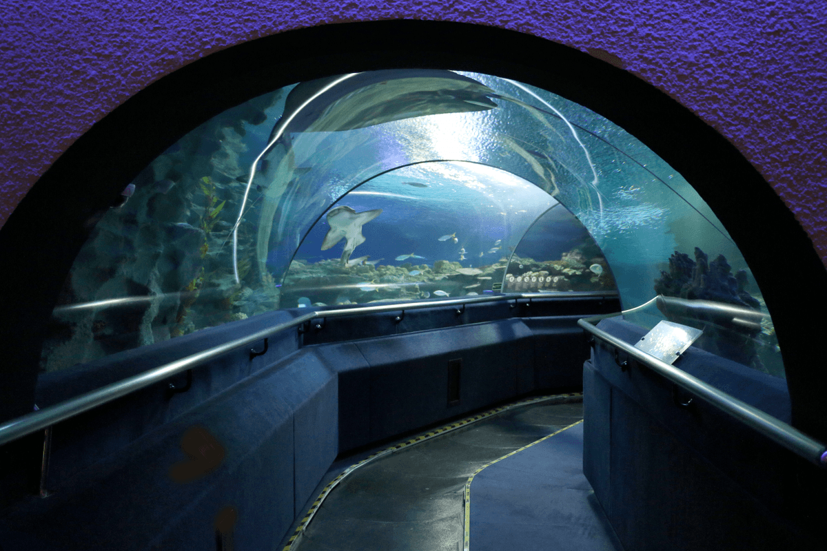 COMBO: KL Hop-on Hop-off Sightseeing Bus Tour + Aquaria KLCC Ticket