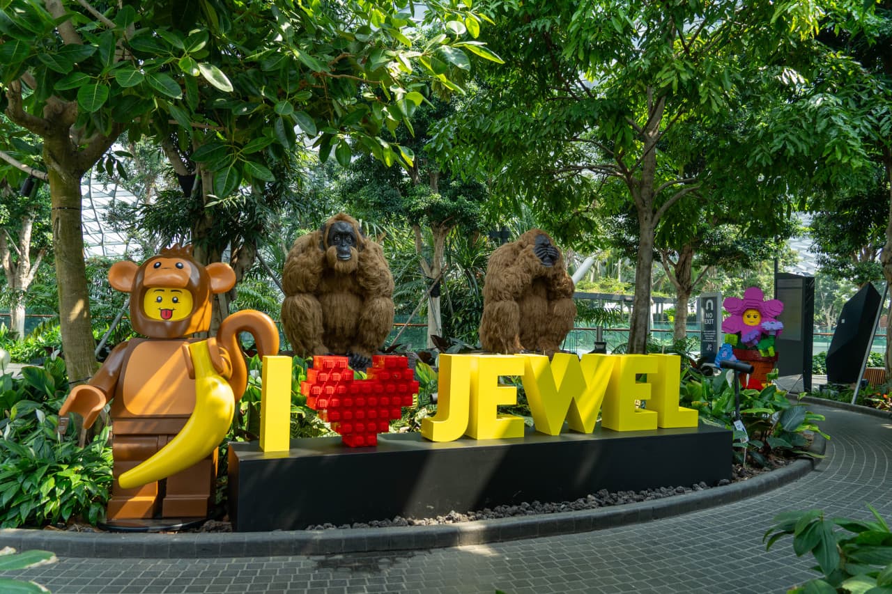 Jewel Changi Airport Attractions – photo 2