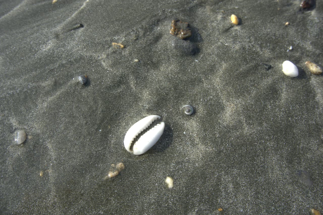 Desaru Beach and Tide Pool Walk – photo 20