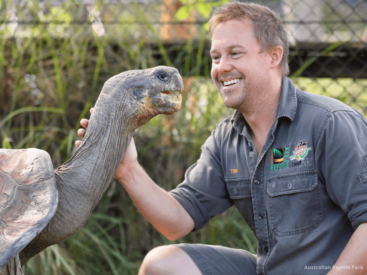 Australian Reptile Park – photo 43