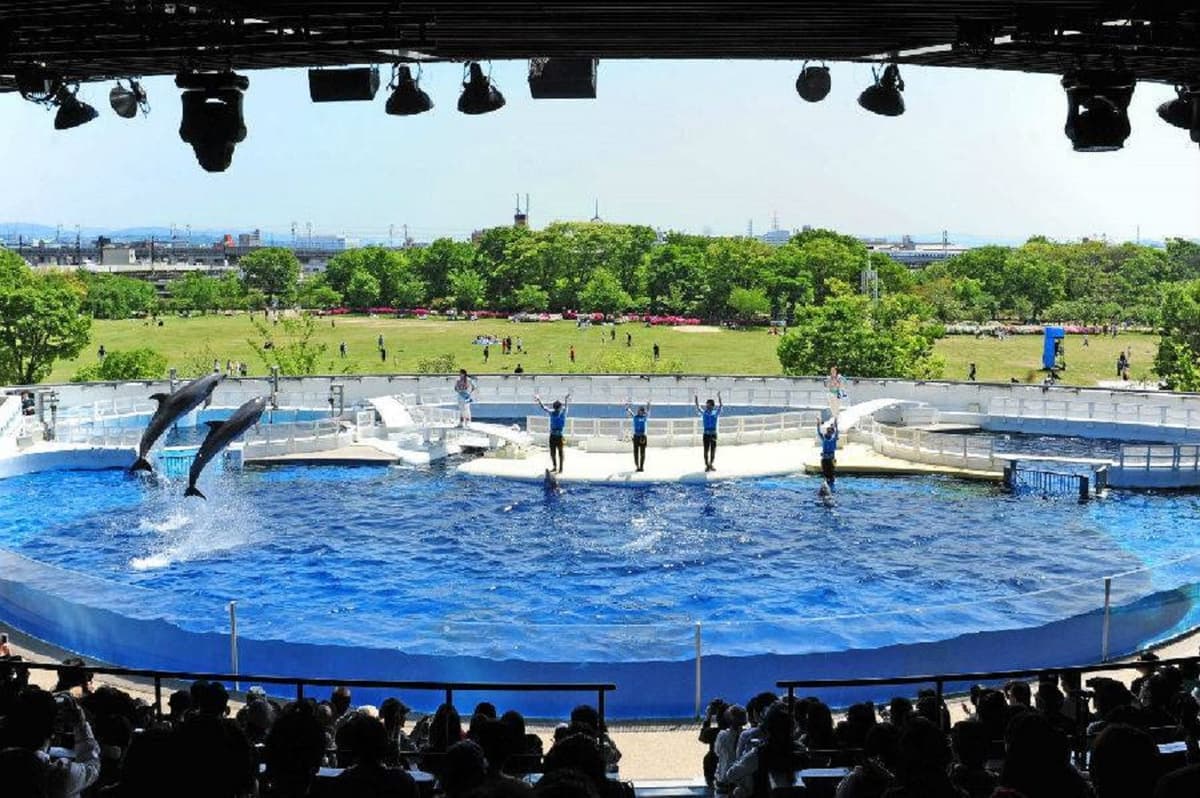 Kyoto Aquarium Ticket