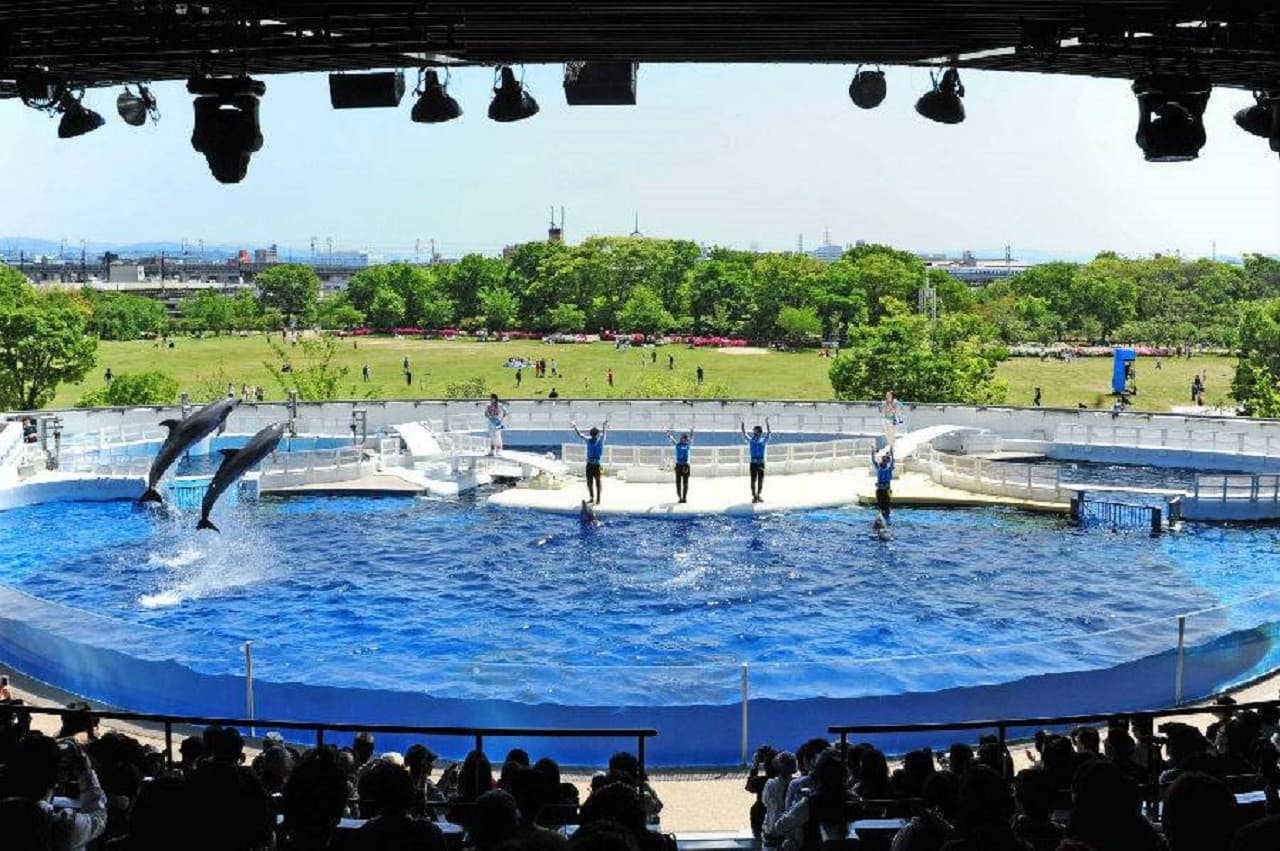 Kyoto Aquarium Ticket