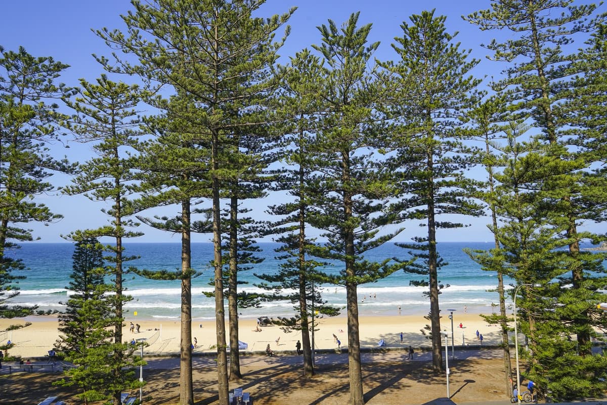 Manly Beach Cycling Tour with Sunset Cruise