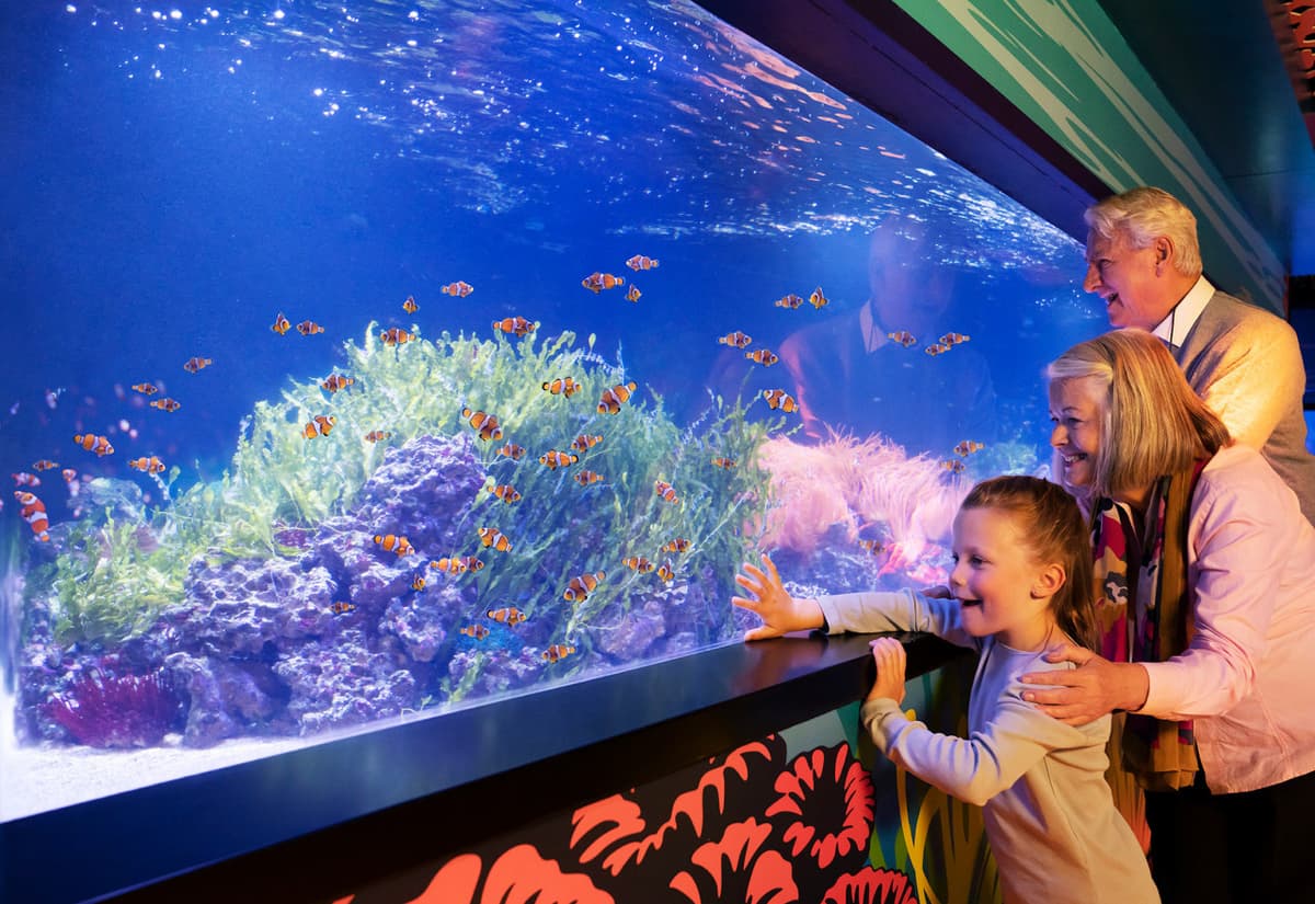 COMBO: Madame Tussauds London + SEA LIFE London Aquarium Ticket