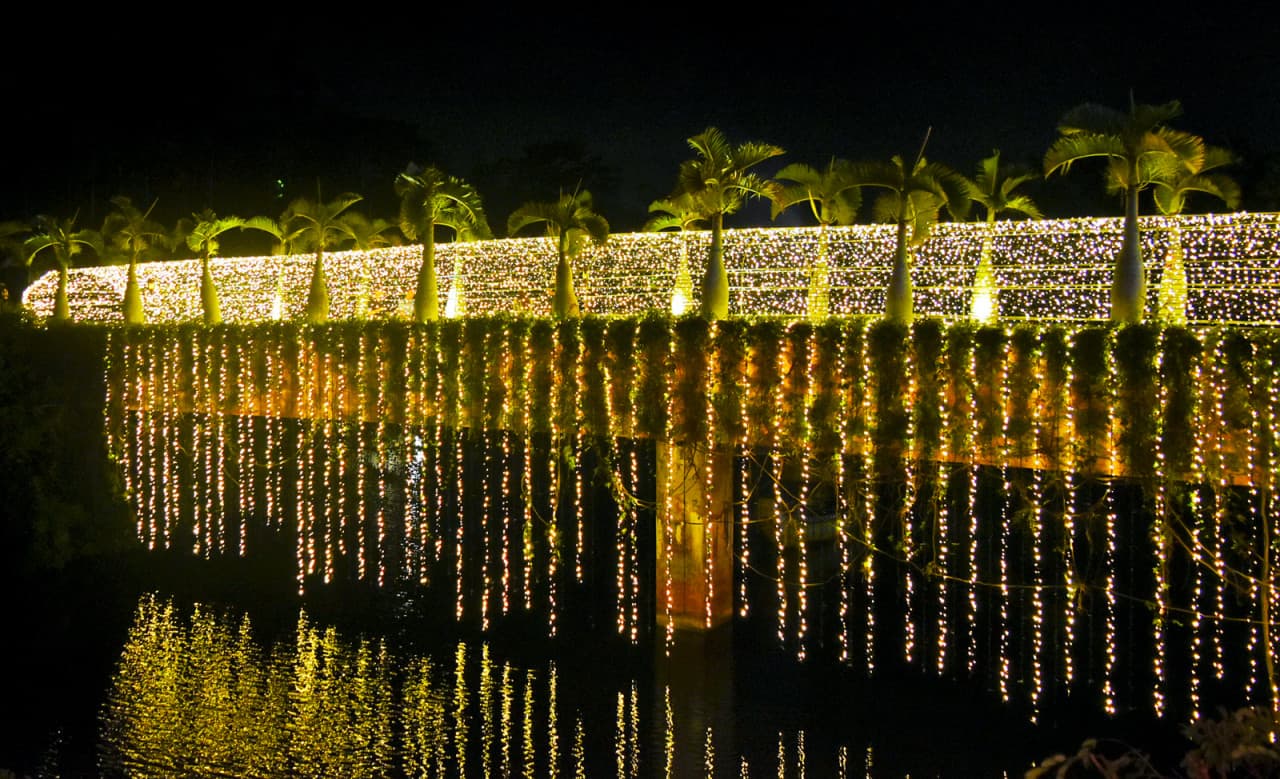 Okinawa Southeast Botanical Gardens – photo 21