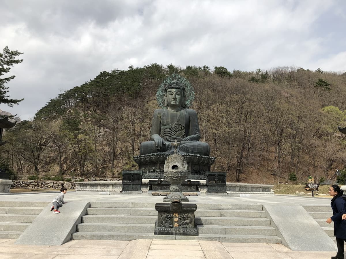 Nami Island and Mount Seorak Full-Day Tour from Seoul