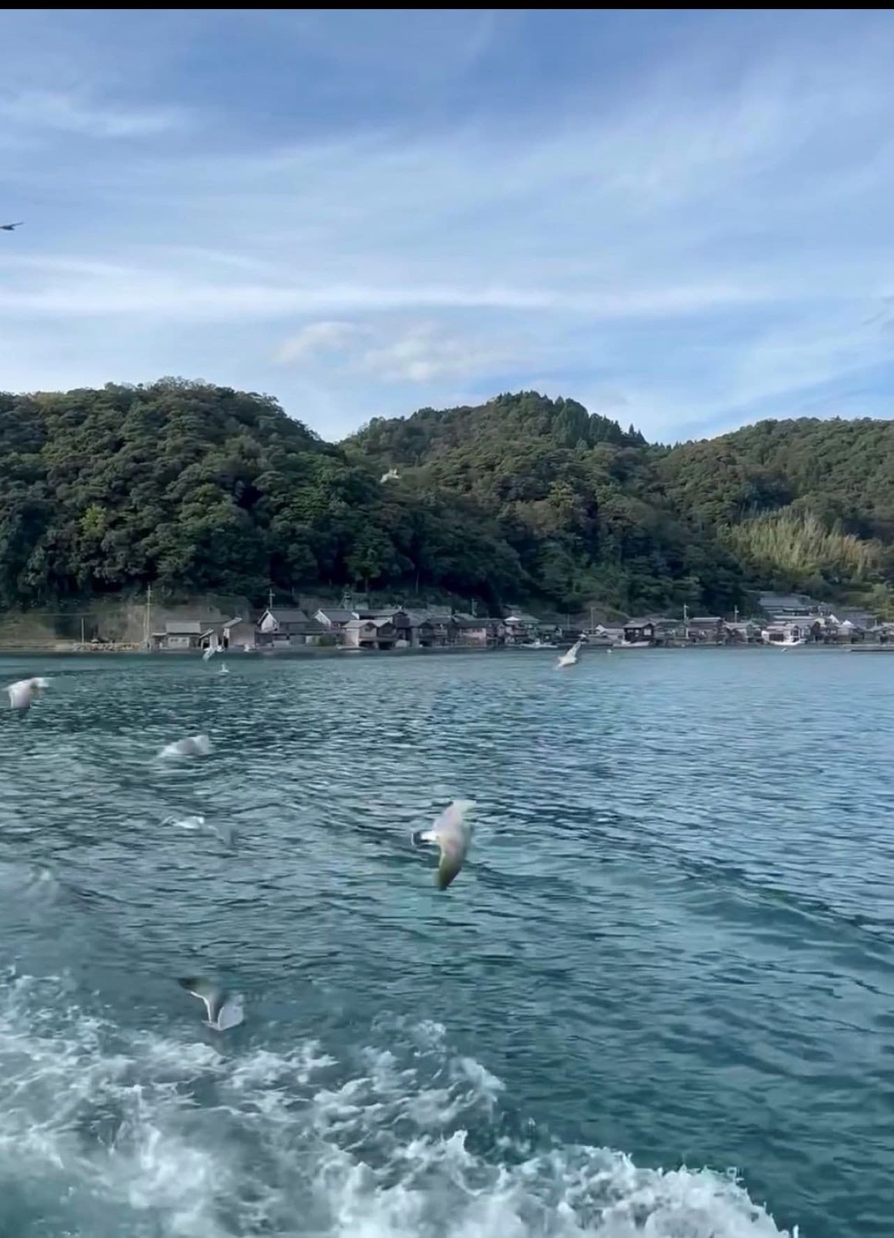 Amanohashidate and Ine Funaya Kyoto Day Tour from Osaka – photo 4