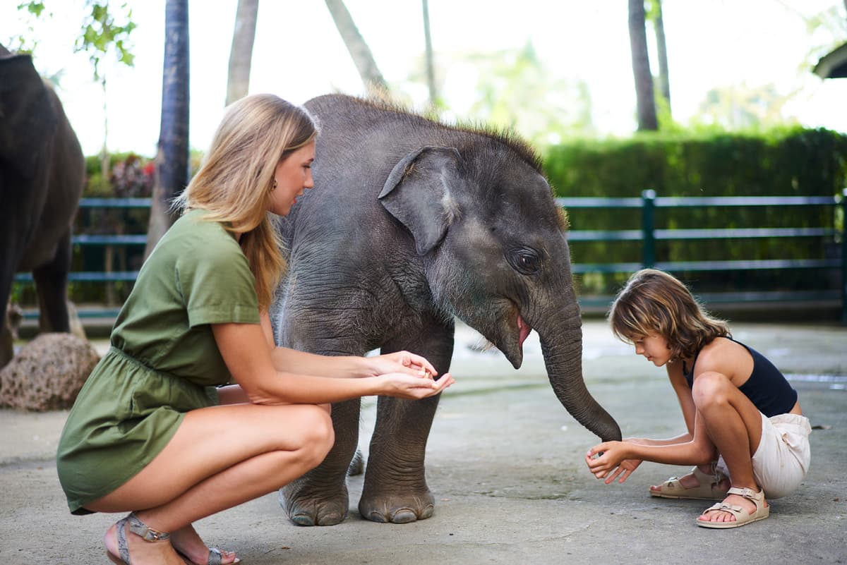 COMBO: Waterbom Bali + Mason Elephant Park Bali Tickets