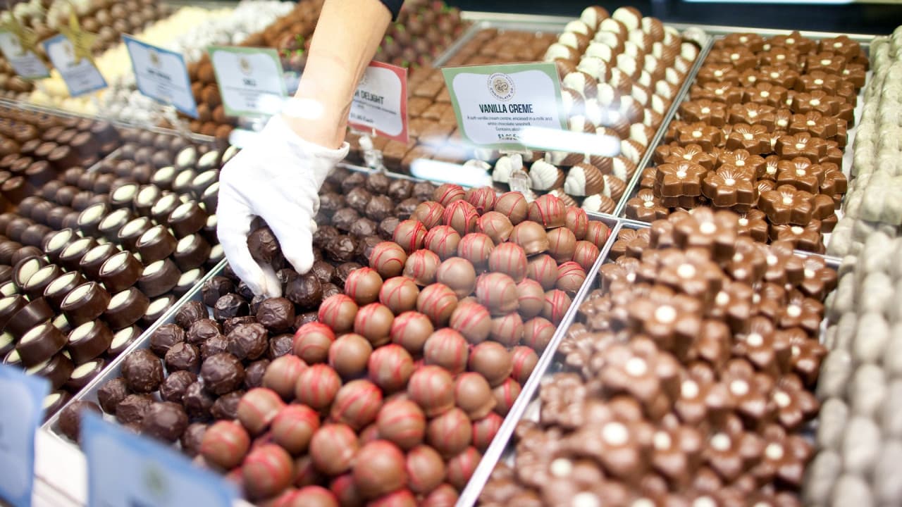 Swan Valley Full-Day Tour with Indulgence Cruise and Wine and Chocolate Tasting – photo 3