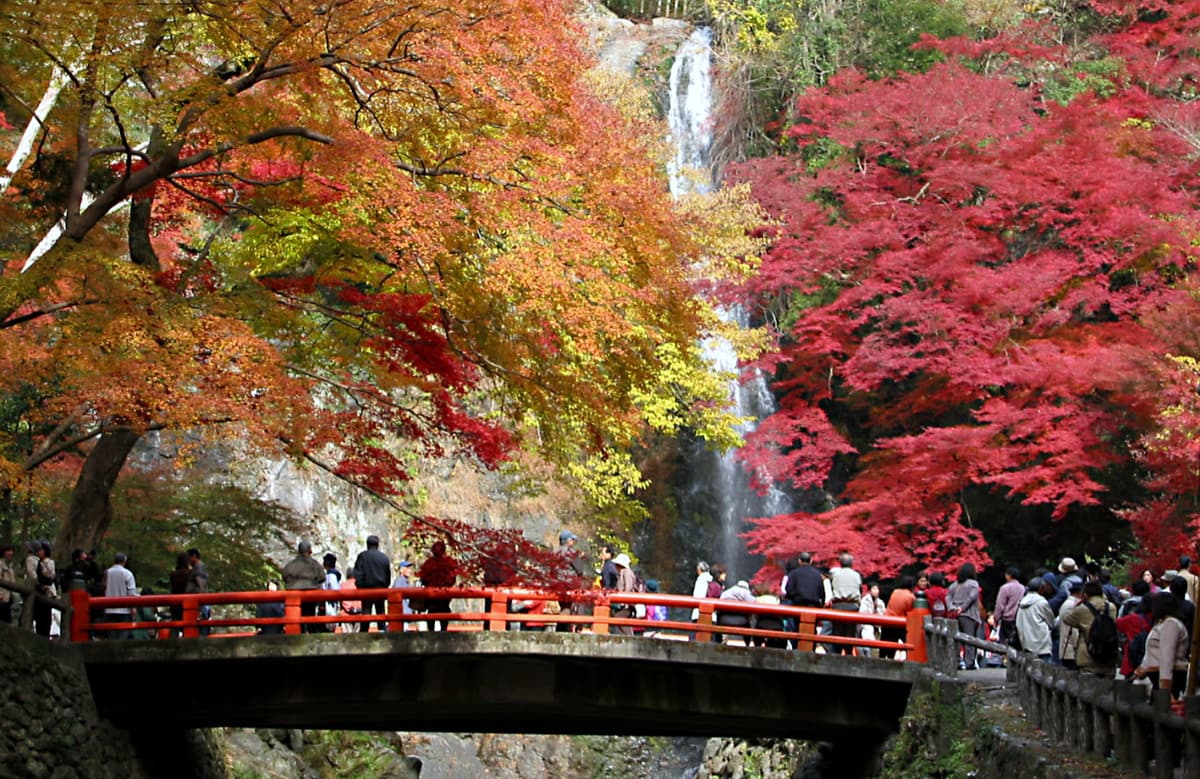 Hankyu One-Day Pass