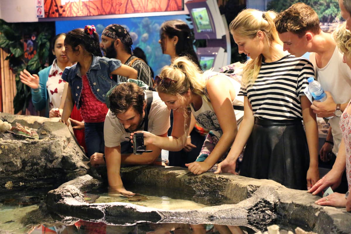 COMBO: KL Hop-on Hop-off Sightseeing Bus Tour + Aquaria KLCC Ticket