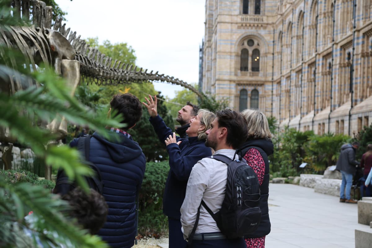Natural History Museum Tour with English-Speaking Guide
