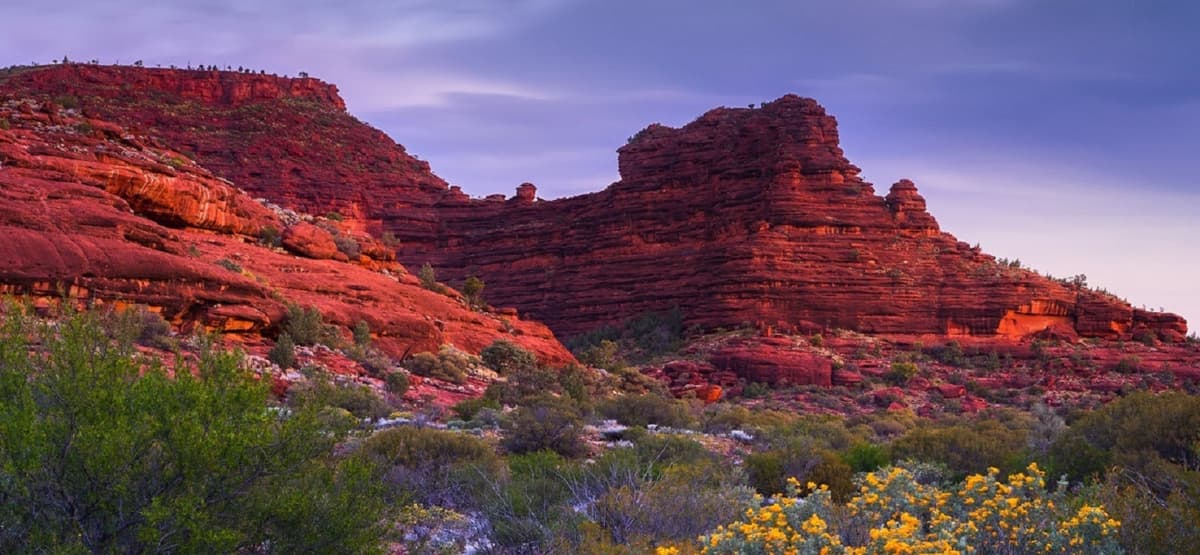 Palm Valley Outback Safari 4WD Tour