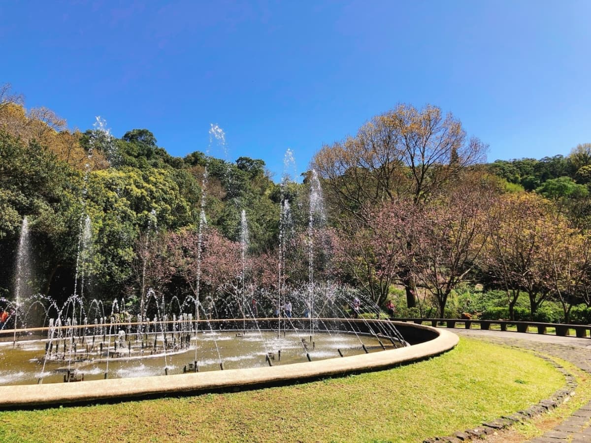 Beitou and Yangmingshan National Park Full-Day Tour from Taipei