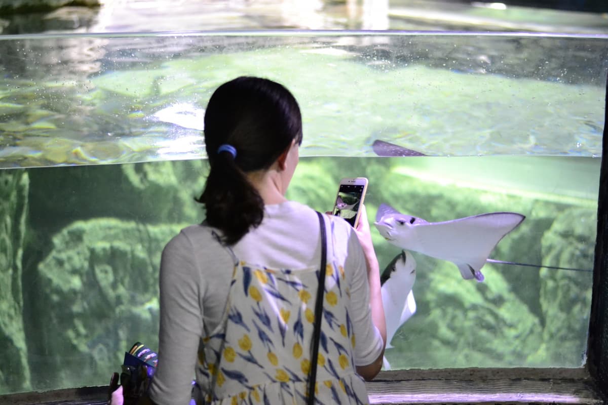 Chiang Mai Zoo Aquarium