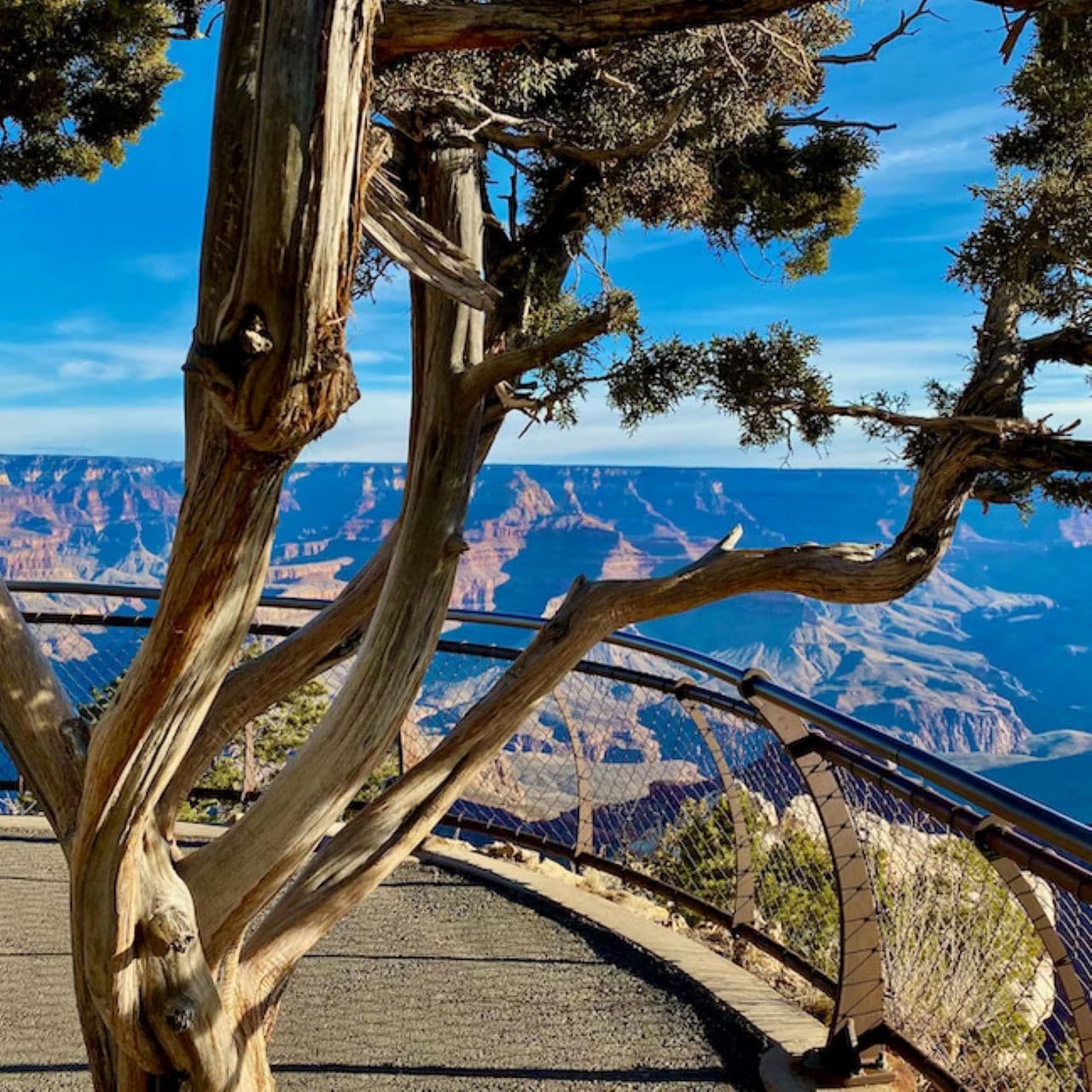 Grand Canyon National Park Tour from Las Vegas – photo 3