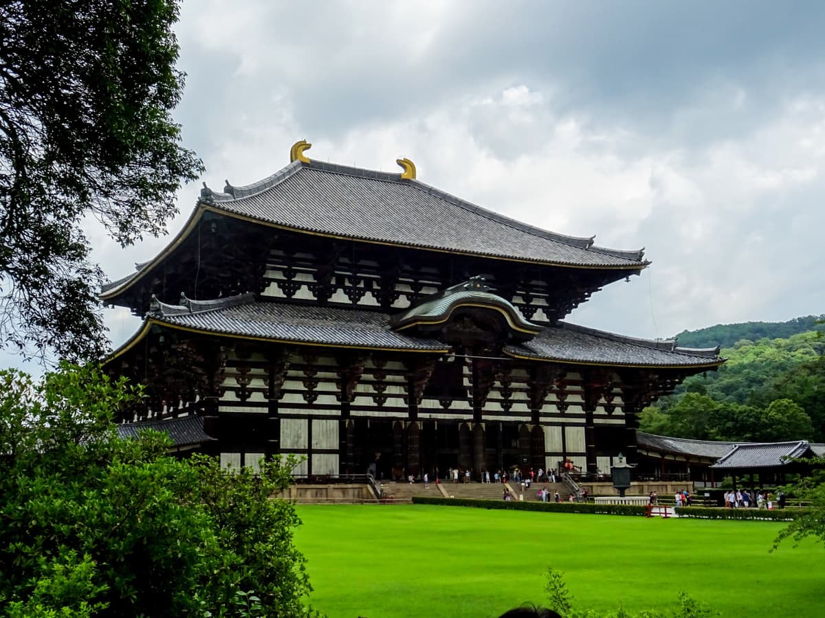 Kyoto and Nara Full-Day Tour from Kyoto