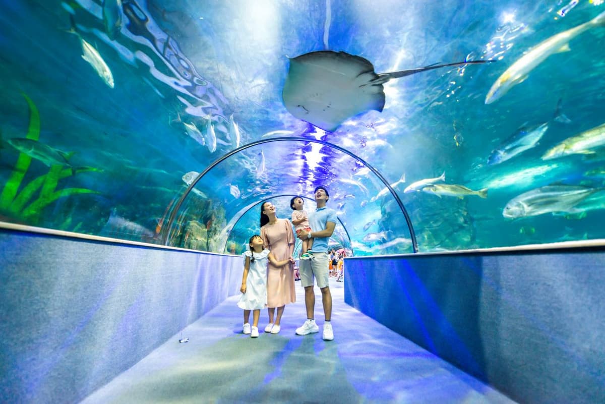 Vinpearl Aquarium Times City Hanoi Ticket