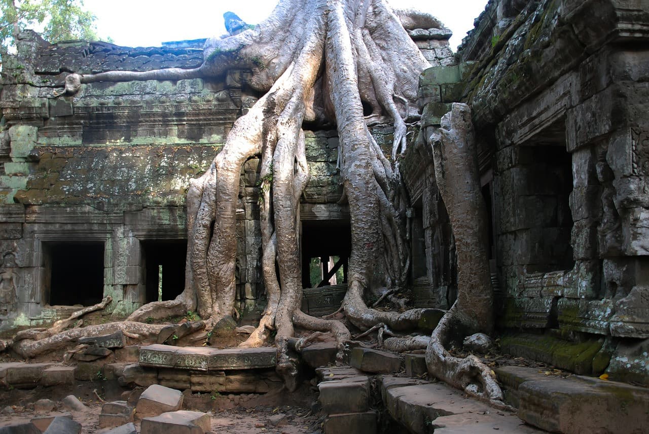 Angkor Wat and Siem Reap Temples Tour – photo 5