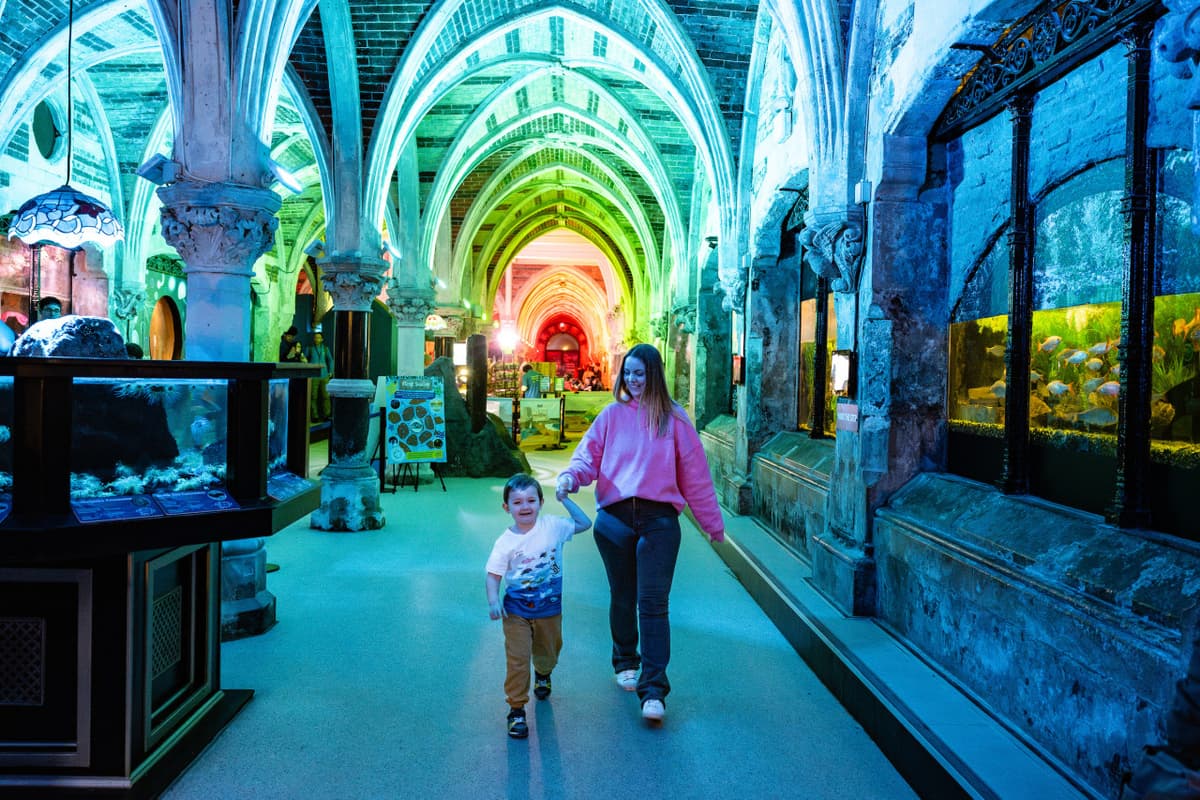 SEA LIFE Brighton Ticket