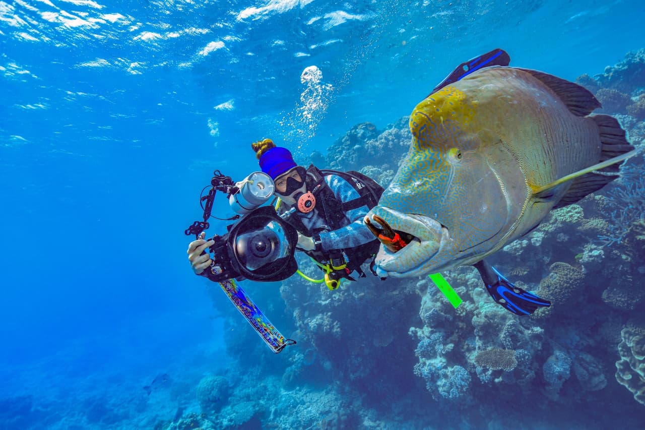 Reef Magic Pontoon Tour from Cairns – photo 12