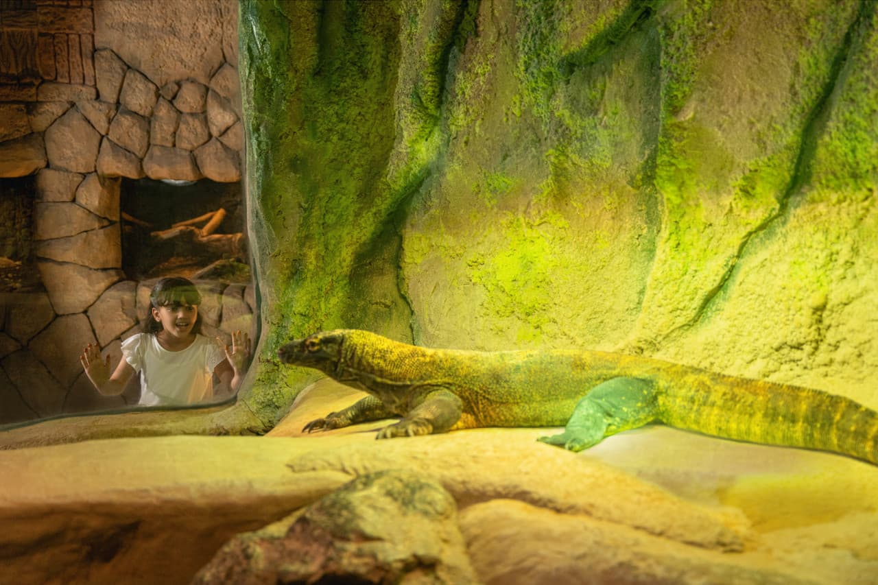 Dubai Safari Park Ticket – photo 15