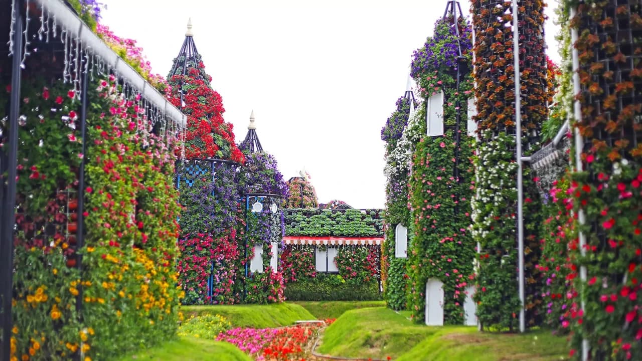 Dubai Miracle Garden Ticket – photo 7