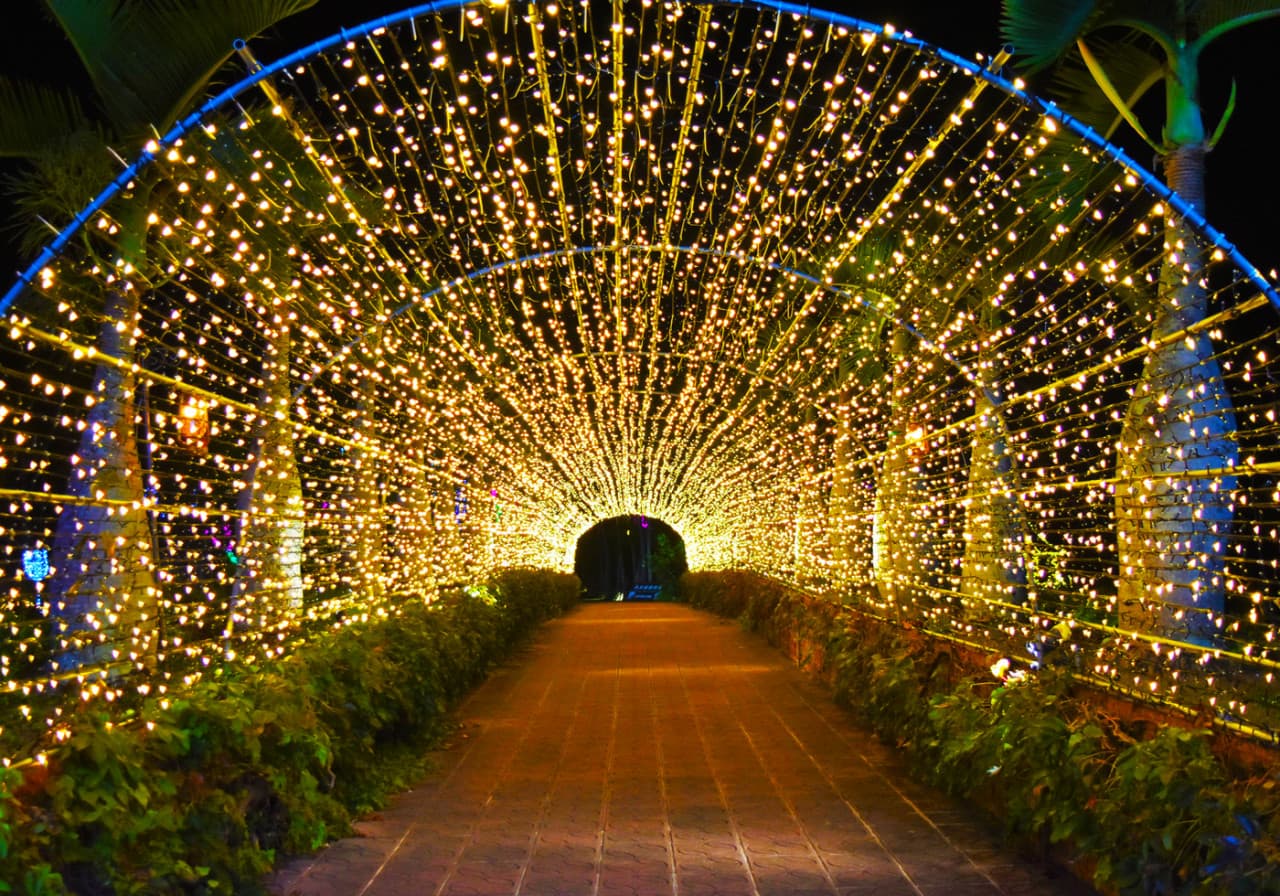 Okinawa Southeast Botanical Gardens – photo 17