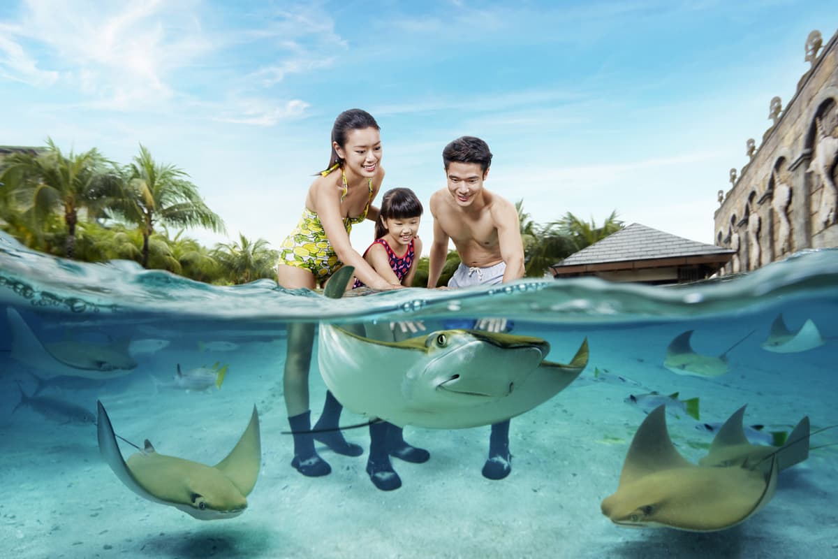 Adventure Cove Waterpark‎ Express Pass