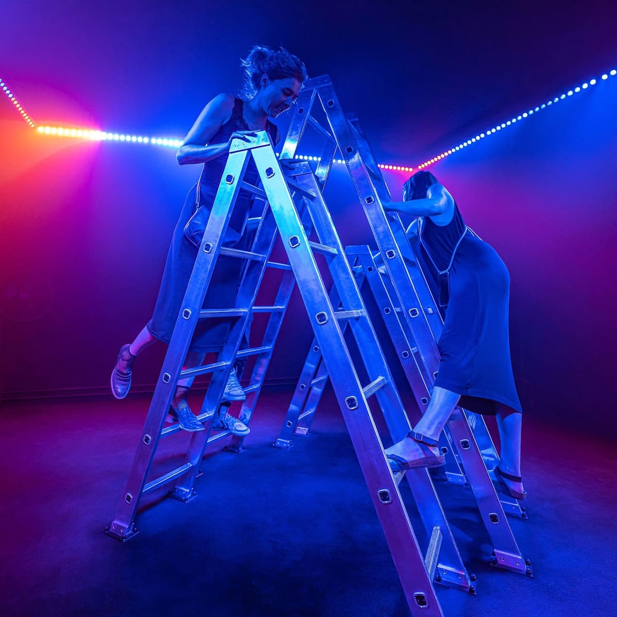 Dark Matter Berlin