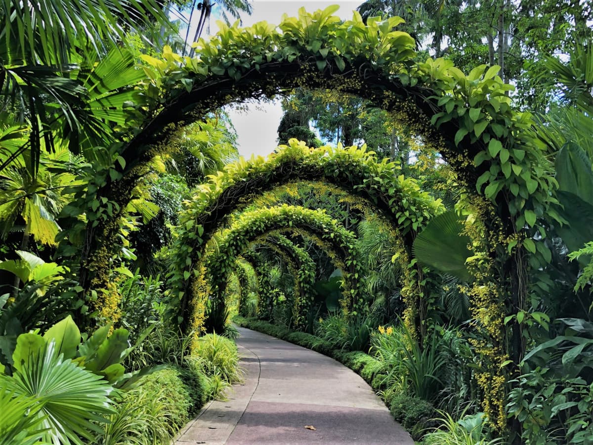 COMBO: Gardens by the Bay - Floral Fantasy + National Orchid Garden