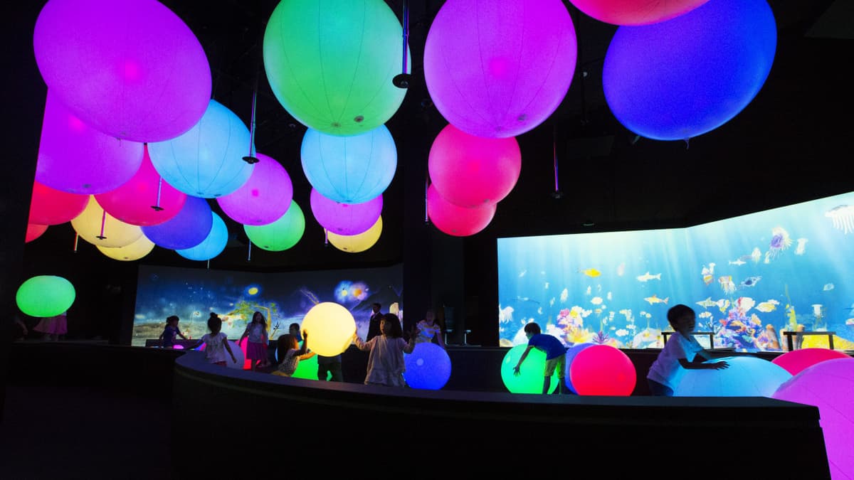 COMBO: Gardens by the Bay + Marina Bay Sands SkyPark Observation Deck + ArtScience Museum Tickets