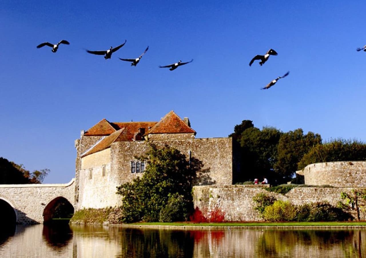 Leeds Castle, Canterbury, Dover, and Greenwich Tour from London – photo 20